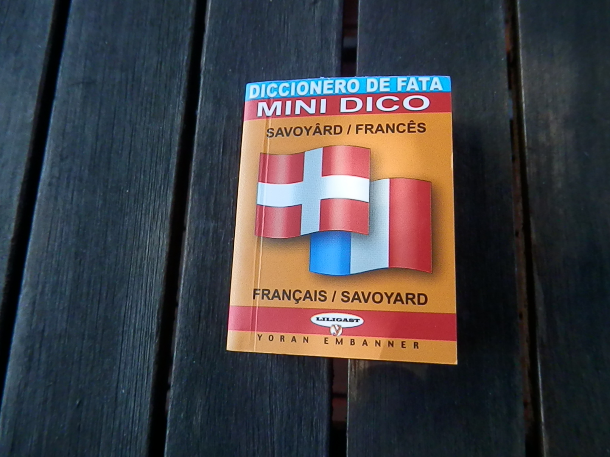 mini dictionnaire savoyârd français